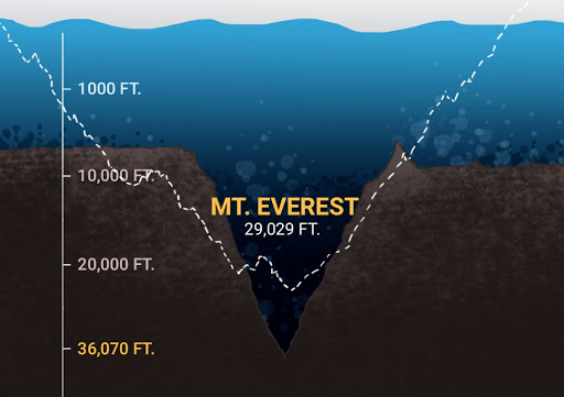 Đáy biển vẫn là một trong những nơi bí ẩn nhất trên Trái Đất, chỉ khoảng 20% đáy biển đã được lập bản đồ.