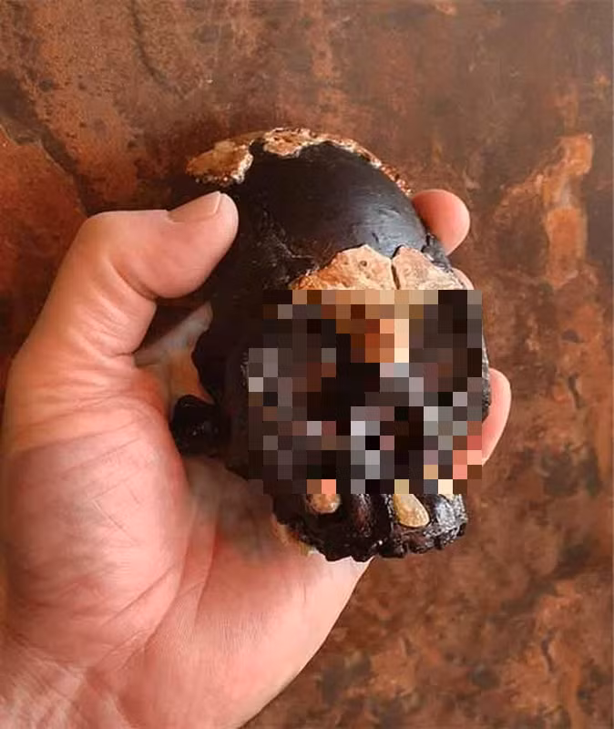 Các bằng chứng cho thấy đó là sự sử dụng lửa có kiểm soát - không đơn thuần là đốt cái gì đó, mà rõ ràng là thắp sáng và nấu ăn.