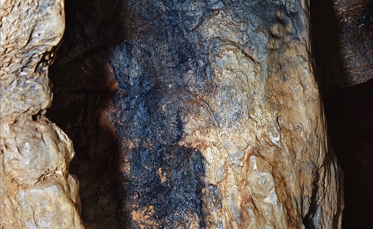 Đây là một thông tin hoàn toàn gây sốc, bởi cho dù có những bằng chứng cho thấy Homo naledi có thể đã biết đến lửa, nhưng dùng nó để nấu ăn hay cho các hành động văn minh hơn thì phải đợi rất lâu sau đó, khi loài người tinh khôn Homo sapiens chúng ta tiến hóa đến một mức độ nhất định.