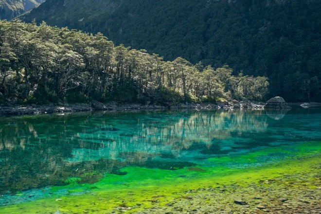 Màu nước xanh của Rotomairewhenua có sự pha trộn đặc biệt giữa ánh sáng và cấu trúc phân tử nước.