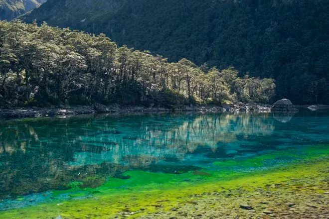 Màu nước xanh của Rotomairewhenua có sự pha trộn đặc biệt giữa ánh sáng và cấu trúc phân tử nước.