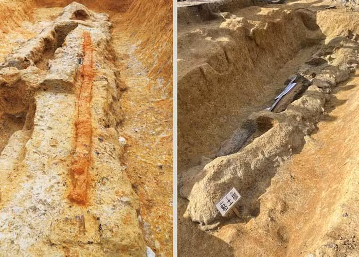 Trung tâm Nghiên cứu Tài sản Văn hóa Bị chôn vùi của thành phố Nara bắt đầu khai quật Tomiomaruyama từ năm 2018. Năm nay, nhóm chuyên gia khai quật một phần của kofun gọi là "tsukuridashi" - phần nhô ra ở giữa gò chôn cất - và tìm thấy quan tài gỗ dài 5m.