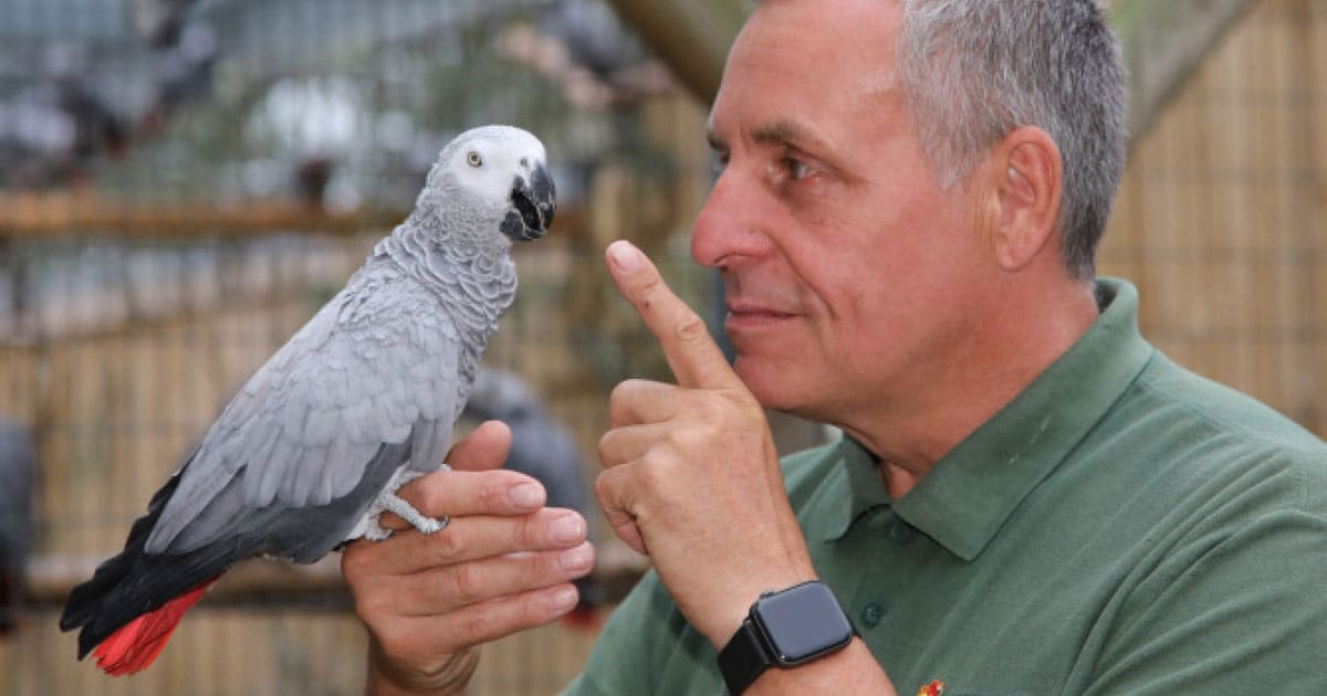 Chim biết hót, còn được gọi là chim sơn ca, là một nhóm lớn trong số các loài chim, và khoảng một nửa số loài chim trên thế giới thuộc loài chim biết hót.