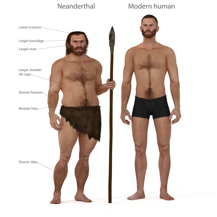 Tên gọi "Neanderthal" xuất phát từ thung lũng Neander, nơi một trong những hài cốt đầu tiên của loài này được phát hiện vào năm 1856. Tuy nhiên, cho đến gần đây, kiến thức của chúng ta về Neanderthals chỉ giới hạn trong hình ảnh của những người săn bắt thô sơ, khập khiễng và nguyên thủy.