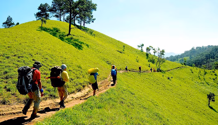 Ngoài ra, Đà Lạt còn có nhiều hoạt động thú vị để khám phá. Du khách có thể tham gia leo núi Langbiang, thử thách bản thân với các hoạt động như trekking và thám hiểm hang động, hoặc thư giãn tại các khu spa và resort sang trọng.