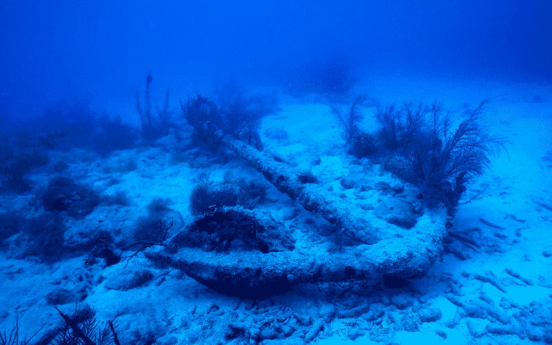 3. "Vùng biển Quỷ" - Bermuda thứ hai của thế giới: Nằm ở vùng biển phía Nam thủ đô Tokyo (Nhật Bản), 'Vùng biển Quỷ' (Devil’s Sea) hay 'Tam giác Rồng' (Dragon’s Triangle) là một trong những 'nghĩa địa biển' khổng lồ của đại dương.