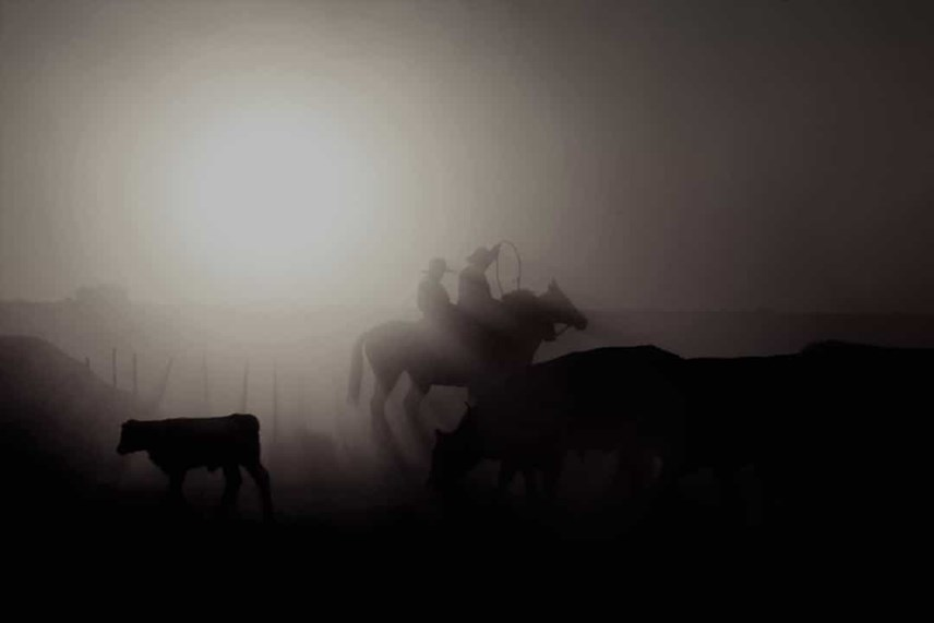 3. Năm 1930: Ít nhất 5.000 người Mỹ cùng 1.100 công dân thiệt mạng khi nhiệt độ chạm mốc kỷ lục khắp 12 bang của Mỹ, trong đó bang North Dakota ghi nhận mức nhiệt 49 độ C.