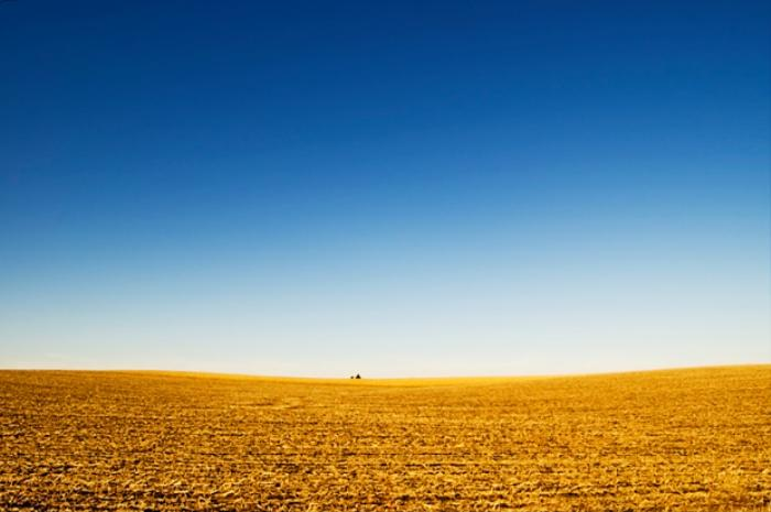 4. Năm 1988: Một trận hạn hán càn quét Bắc Mỹ vào cuối những năm 1980, khiến khoảng 5.000 đến 10.000 người tử vong. Hạn hán đã kéo dài suốt mùa hè năm 1988.