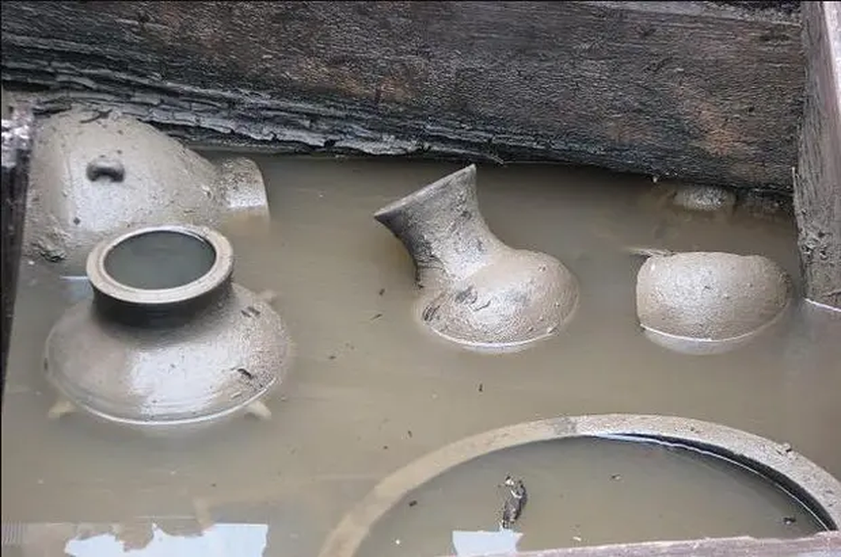 Mọi người cảm thấy rất kinh ngạc, không hiểu chúng sống trong mộ cổ bao lâu rồi.