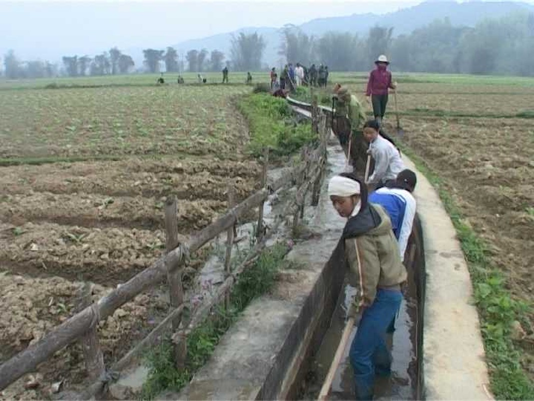 Lúc đầu, mọi việc rất suôn sẻ, nhưng khi dọn tới giữa kênh, bỗng máy xúc va phải vật gì đó rất cứng.