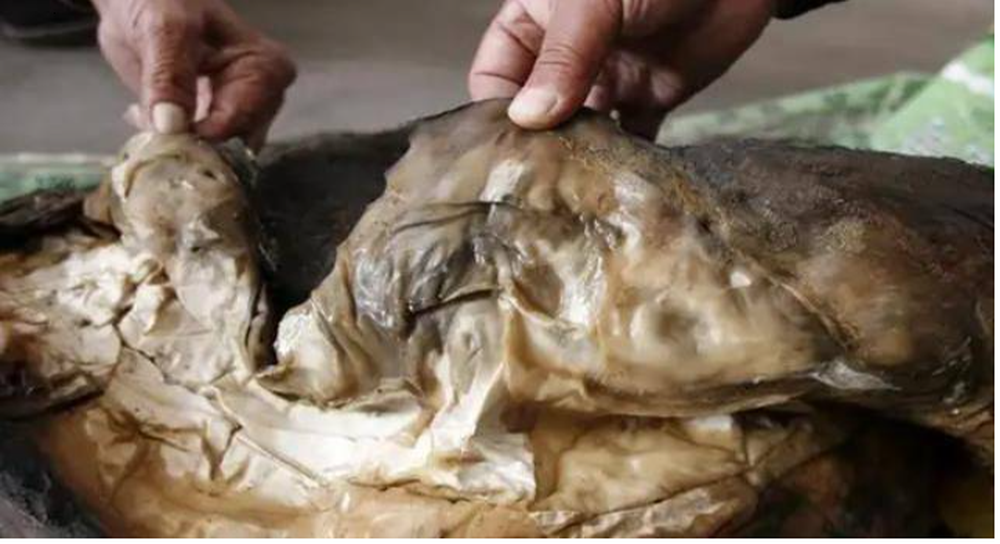 Một ngư dân ở Giang Tô, Trung Quốc mới đây đã tình cờ "vớt" được một tảng thịt lạ dưới nước.