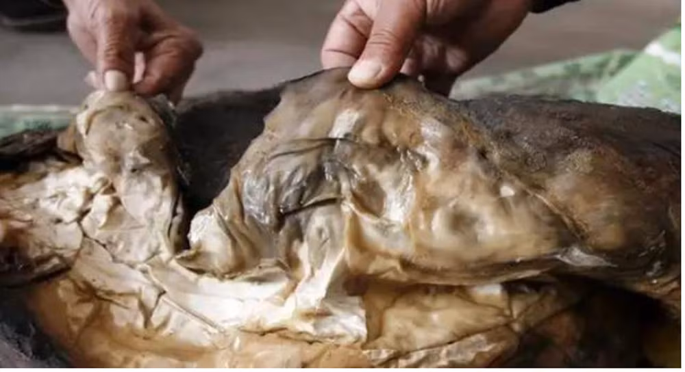 Một ngư dân ở Giang Tô, Trung Quốc mới đây đã tình cờ "vớt" được một tảng thịt lạ dưới nước.