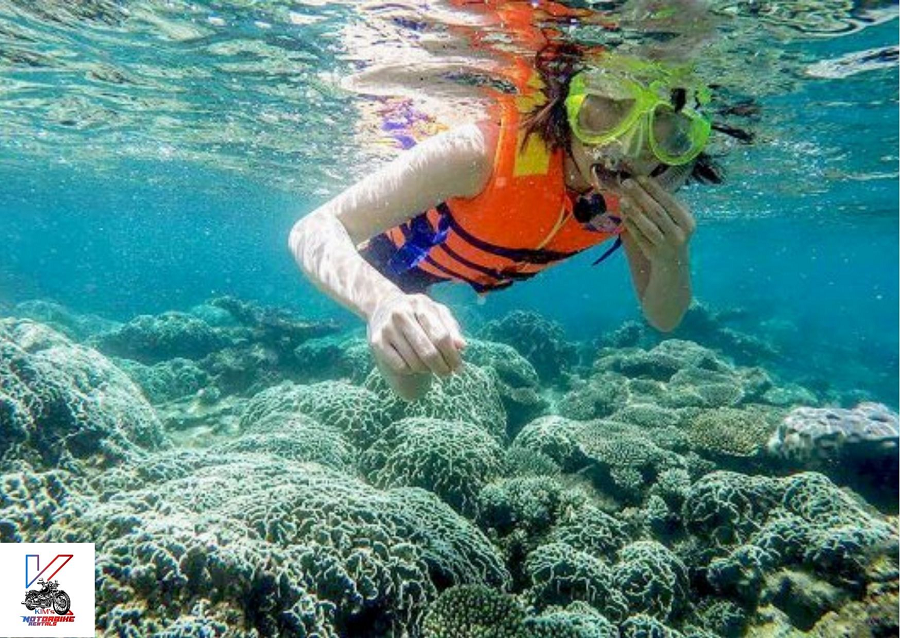 Phát hiện loài bọt biển mới này là một bổ sung quan trọng cho đa dạng sinh học của Việt Nam và cung cấp thông tin mới về các sinh vật biển trong vùng nhiệt đới.