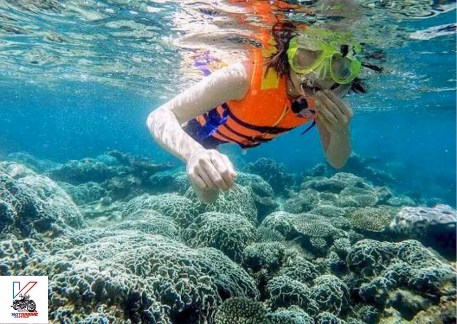 Phát hiện loài bọt biển mới này là một bổ sung quan trọng cho đa dạng sinh học của Việt Nam và cung cấp thông tin mới về các sinh vật biển trong vùng nhiệt đới.