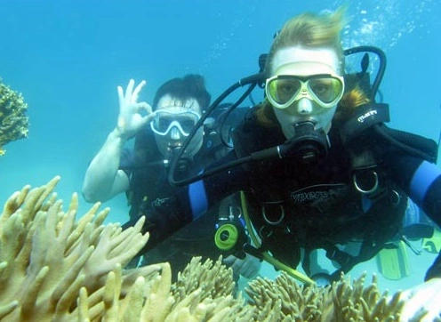 Loài bọt biển Cladocroce pansinii được đặt theo tên của nhà phân loại bọt biển Maurizio Pansini để tôn vinh đóng góp của ông cho lĩnh vực này.