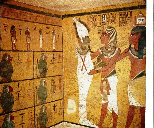 Họ đã áp dụng các kỹ thuật như phân tích khuôn mặt, xác định các đường nét, đặc điểm cơ bản của khuôn mặt và màu sắc da dựa trên các dữ liệu từ những người cùng dòng máu với Tutankhamun, như người Ai Cập hiện đại và người Sudan.