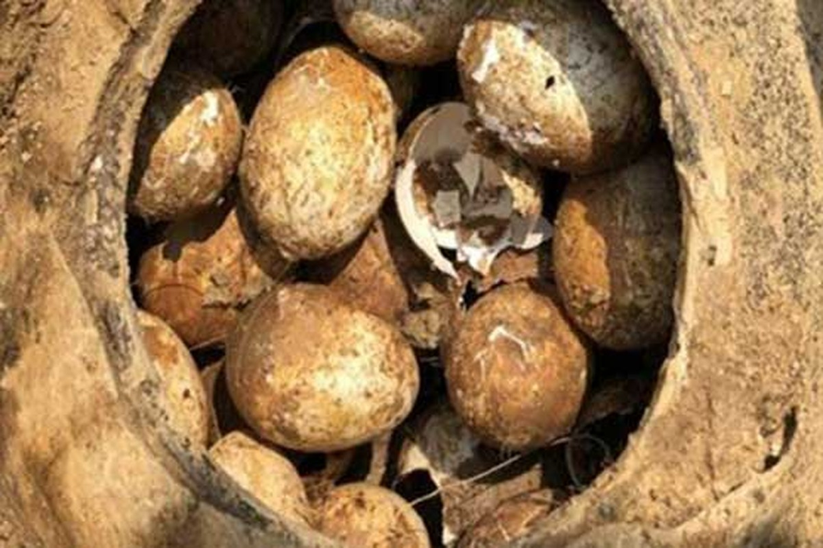 Việc chôn cất những quả trứng bên trong lăng mộ được xem như một phần trong bộ mỹ quan và tôn vinh các bậc cha ông, đặc biệt là trong triều đình thời phong kiến Trung Quốc.