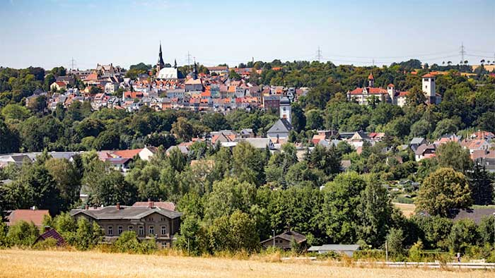 Mới đây, một loài động vật nhỏ bé giao phối và sinh sôi tại làng Altweinholzchen, Đức, đã gây ra mất mạng Internet trong cả làng.