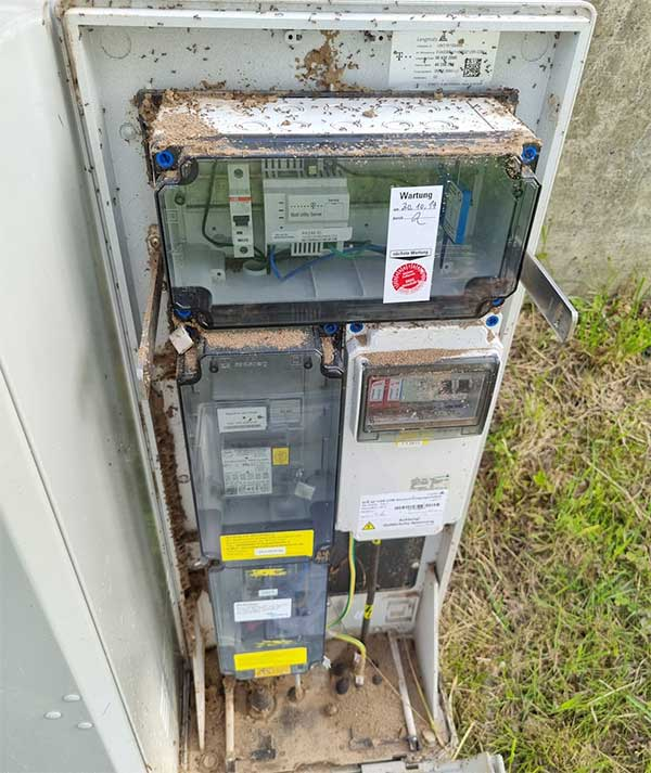 Nguyên nhân của sự cố là do những con kiến đã làm tổ trong hộp nối đầu cáp viễn thông và mạng Internet của ngôi làng.