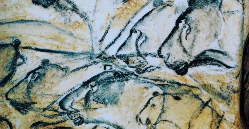 Một đặc điểm quan trọng khác của loài người Homo sapiens là khả năng sáng tạo và phát triển công nghệ. Chúng ta đã phát minh ra công cụ, lửa, ngôn ngữ, nghệ thuật và văn hóa.