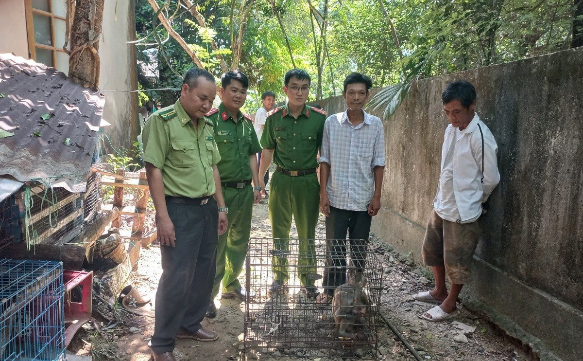 Ngay khi ý thức được vai trò của từng cá nhân đối với việc bảo vệ các loài động vật quý hiếm, ông Đ. đã tự nguyện giao nộp lại cho Phòng Cảnh sát môi trường phối hợp cùng Công an TP. Huế, Hạt kiểm lâm TP. Huế, tỉnh Thừa Thiên - Huế.