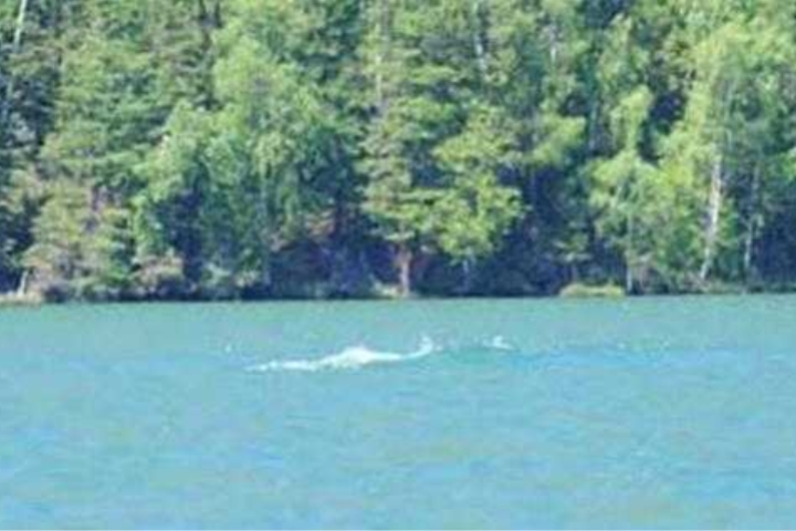 Quái thú Kanas là một huyền thoại về một sinh vật kỳ lạ được cho là sống dưới lòng hồ, thu hút sự tò mò và hấp dẫn của nhiều người.