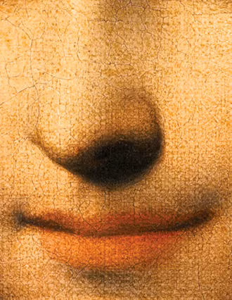 Một số cho rằng đó là nụ cười thật của người phụ nữ, trong khi một số khác tin rằng đó là một dạng nụ cười nghiêng, chỉ phát hiện được nếu nhìn theo một góc nhất định. Sự mơ hồ và khó đoán về nụ cười này đã làm cho bức tranh trở nên bí ẩn và đáng chú ý hơn.