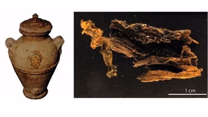 Cuối cùng, một nhóm nghiên cứu do tiến sĩ Albert Zink, Giám đốc Viện nghiên cứu xác ướp của Ý, dẫn đầu đã có cơ hội khám phá những sự thật đằng sau cái chết bí ẩn của gia tộc này.