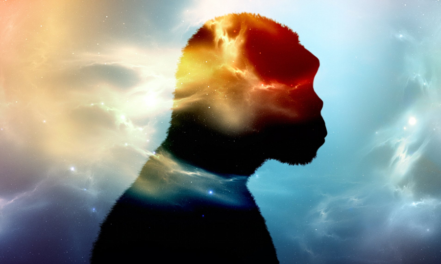 Sự việc xảy ra trong hàng trăm ngàn năm, đem đến một hỗn hợp DNA đủ để thành hình một loài mới - chính là chúng ta.