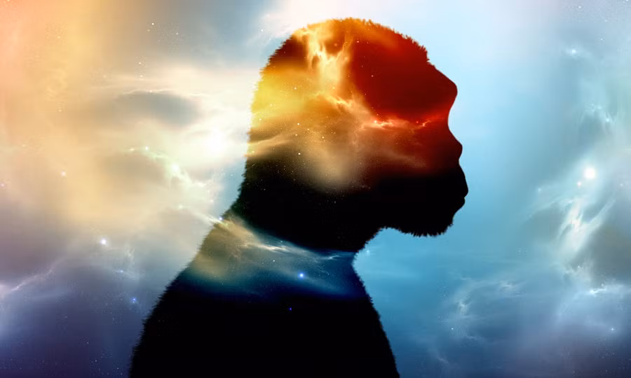 Sự việc xảy ra trong hàng trăm ngàn năm, đem đến một hỗn hợp DNA đủ để thành hình một loài mới - chính là chúng ta.