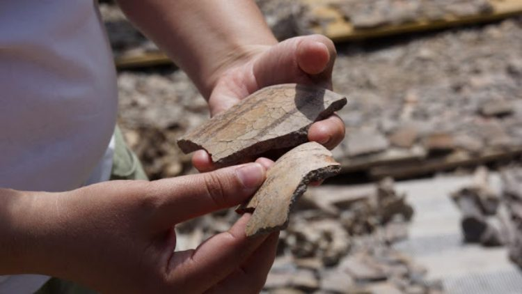 Hiện tại, danh tính của bộ hài cốt vẫn chưa được xác nhận.