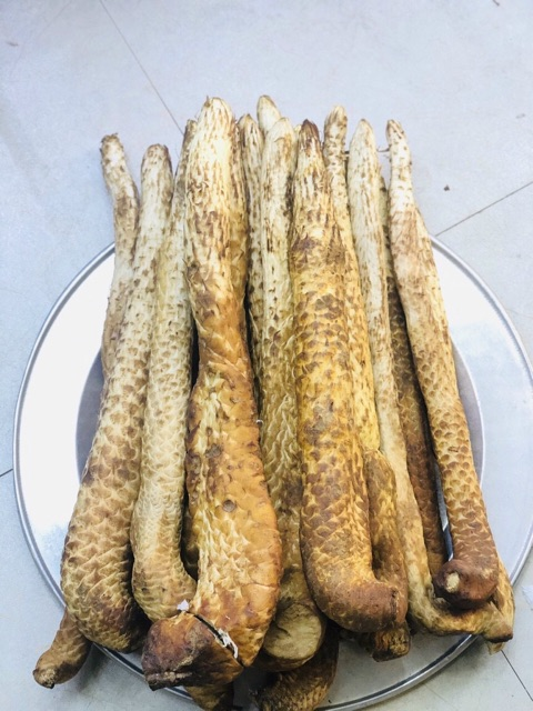 Những cây nhục thung dung mà lão nông tìm thấy có thể bán với giá hàng tỷ đồng vì độ quý giá và hiếm có của chúng.