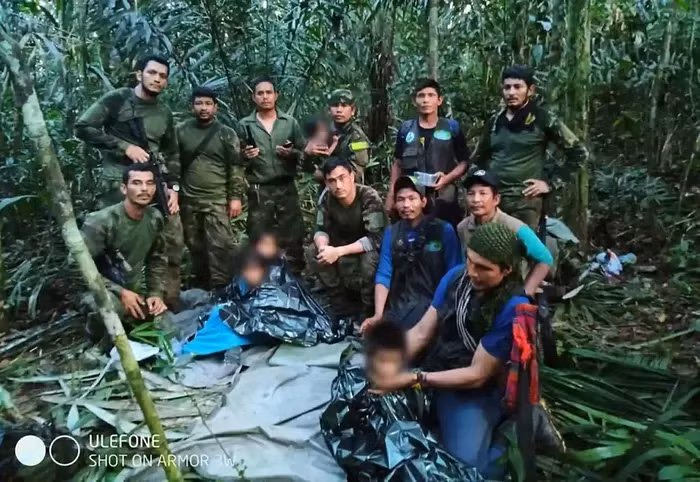 Và mới đây, một vụ mất tích chấn động cũng đã xảy ra tại rừng Amazon, may mắn thay những đửa trẻ đã được cứu sống.