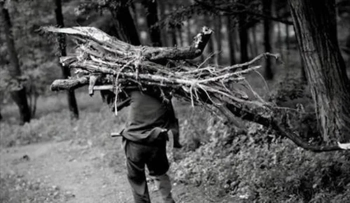 Vào năm 1958, một cậu học sinh cấp 2 có tên Tiểu Trần thường lên ngọn núi gần nhà để nhặt củi khô sau khi tan học.