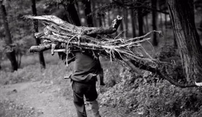 Vào năm 1958, một cậu học sinh cấp 2 có tên Tiểu Trần thường lên ngọn núi gần nhà để nhặt củi khô sau khi tan học.