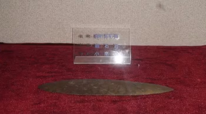 Đến năm 1965, khi các chuyên gia khảo cổ đến Hắc Long Giang thu thập di vật văn hóa, Tiểu Trần nhớ lại chiếc lá đá mà mình đã nhặt được và hỏi các chuyên gia về nó.