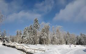 Nhờ sự tích cực hợp tác của Tiểu Trần, các chuyên gia đã tìm thấy một nghĩa trang của các thủ lĩnh bộ lạc thời nguyên thủy và thu thập được nhiều cổ vật bằng đá.