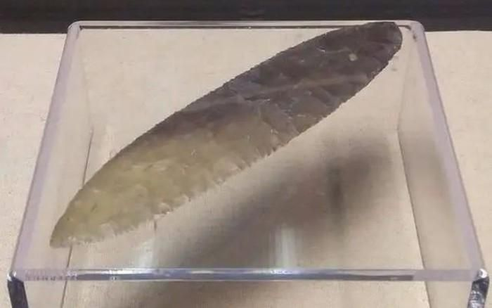 Câu chuyện về cậu học sinh nhặt được chiếc lá kỳ lạ tại tỉnh Hắc Long Giang, Trung Quốc.