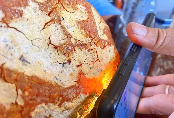 Ông Trí là người có sở thích sưu tầm đá quý và trong một lần sang chơi nhà bạn, ông đã "bắt gặp" một khối đá quý hiếm. Ông đã mua lại khối đá từ bạn mình với giá một triệu đồng dù không biết lai lịch của nó.