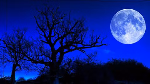 Màu cam của trăng là hiệu ứng tán sắc ánh sáng, đặc biệt rõ ràng khi có các vụ cháy rừng giải phóng khói mù.