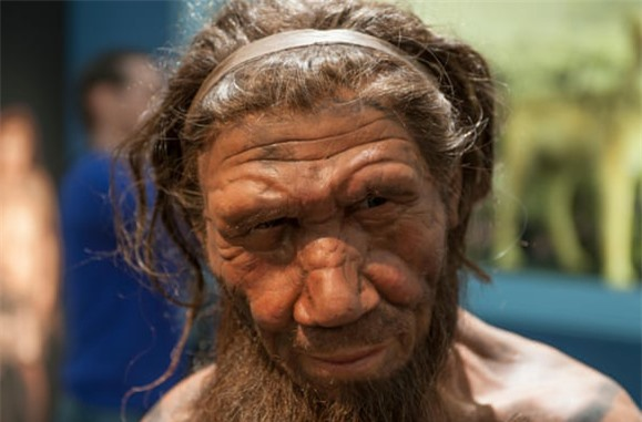 Neanderthals là một "loài anh em" với Homo sapines, cùng thuộc chi Người (Homo), đã tuyệt chủng khoảng hơn 30.000 năm trước.