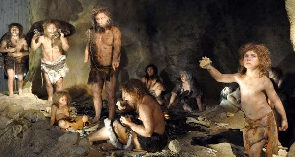 Vấn đề là, làm thế nào mà người Neanderthal có thể chưng cất được hắc ín, khi loại nguyên liệu này chỉ có thể được chưng cất ở nhiệt độ từ 340 độ C tới 370 độ C, trong một bình gốm.