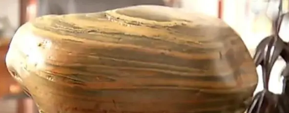 Dù vậy ông Lin đã từ chối mọi lời hỏi mua mà chỉ muốn giữ nó như một món quà của tự nhiên.