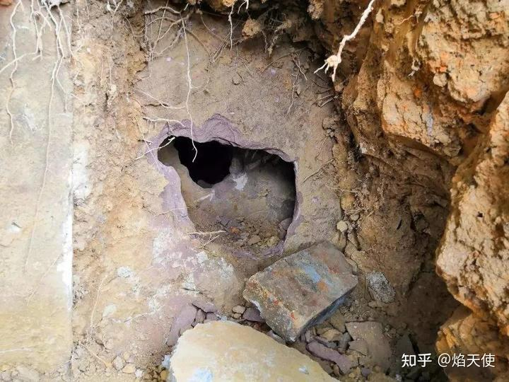 Sau khi thu thập cổ vật, nhóm chuyên gia tiếp tục khai quật ngôi mộ cổ. Họ đã tìm thấy một văn bia bên trong mộ. Theo chữ viết trên bia, chủ nhân của ngôi mộ là Ngô Lâm, một viên quan thời nhà Minh, người từng giữ chức giám sát tỉnh Sơn Đông. (Ảnh minh họa)