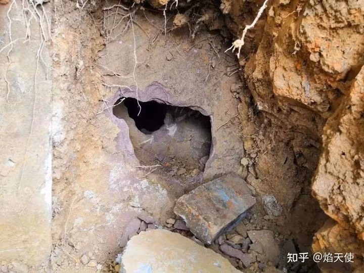 Sau khi thu thập cổ vật, nhóm chuyên gia tiếp tục khai quật ngôi mộ cổ. Họ đã tìm thấy một văn bia bên trong mộ. Theo chữ viết trên bia, chủ nhân của ngôi mộ là Ngô Lâm, một viên quan thời nhà Minh, người từng giữ chức giám sát tỉnh Sơn Đông. (Ảnh minh họa)