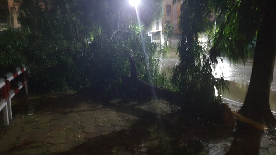 Nhiều cây bị gió mạnh thổi gãy cành đổ xuống đường. May mắn không có người qua lại nên không nguy hiểm đến tính mạng.