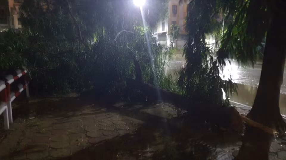 Nhiều cây bị gió mạnh thổi gãy cành đổ xuống đường. May mắn không có người qua lại nên không nguy hiểm đến tính mạng.