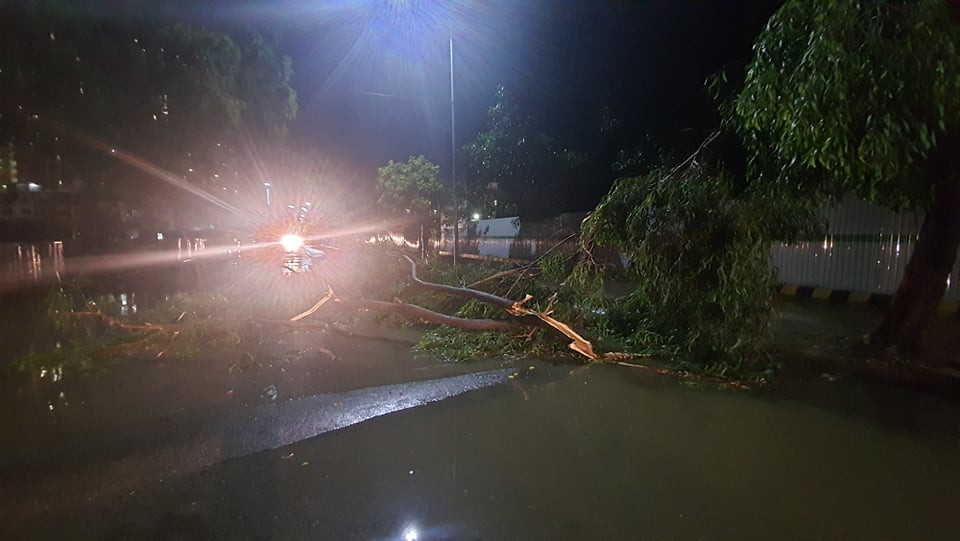 Tối 22/6, Hà Nội mưa lớn kèm theo sấm chớp, gió mạnh khiến nhiều tuyến đường thuộc các quận nội thành Hà Nội ngập úng. Gió mạnh khiến nhiều cây cối bị quật đổ, gãy ngang giữa đường.