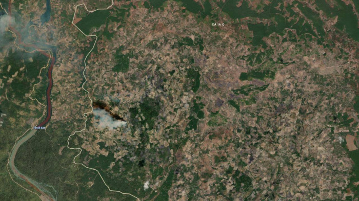 De 420 ha rung bi mat, 2 cuu truong ban Quan ly rung bi truy to