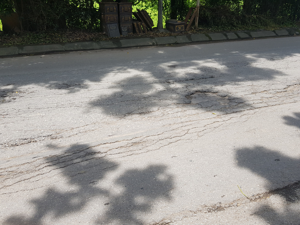 Ha Noi: Tinh lo 442 moi sua lai xuong cap nghiem trong-Hinh-9